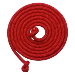 Goki Rood Springtouw, 2.5 meter