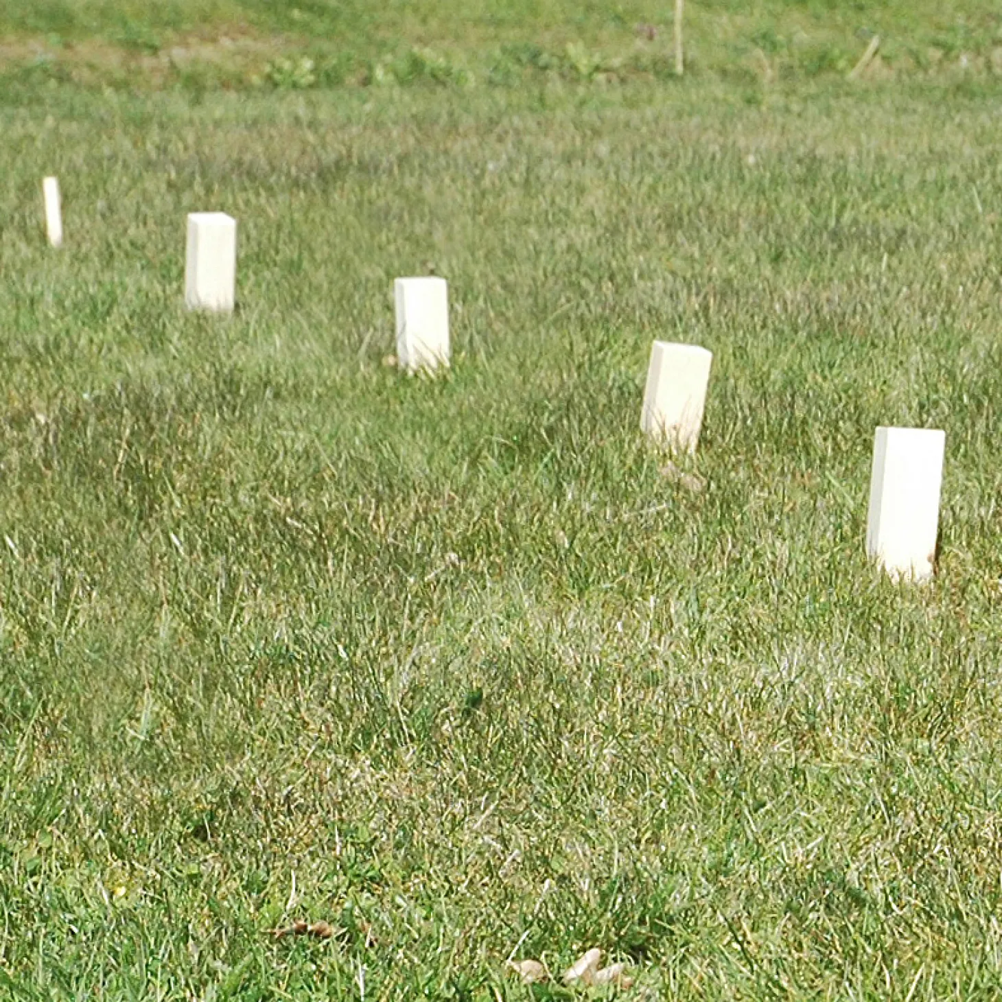 Goki Schaakspel KUBB Vikingen Medium