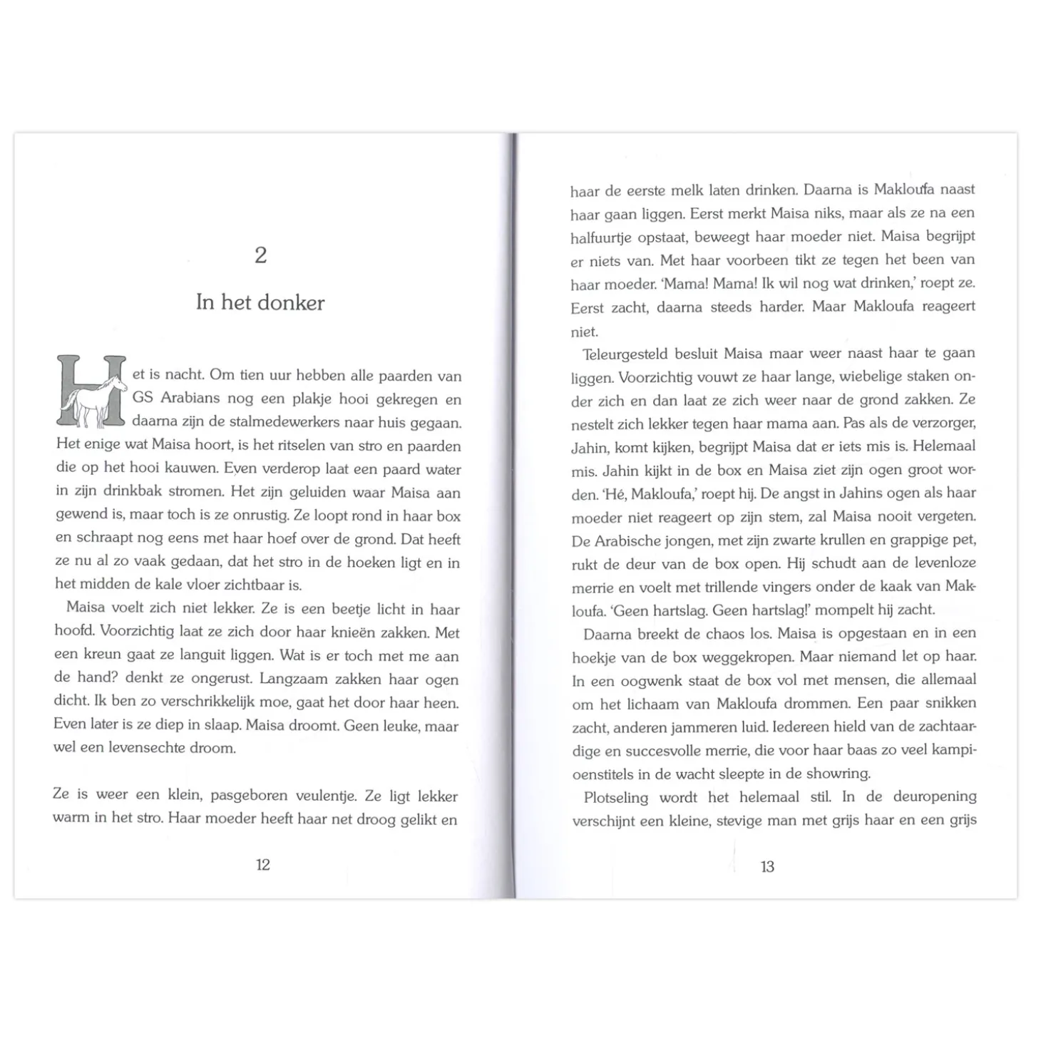 Gouden Paarden: Maisa de dappere arabier