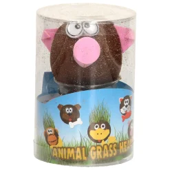 Grasvriendjes Dieren Verzorgen