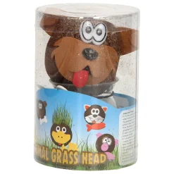 Grasvriendjes Dieren Verzorgen