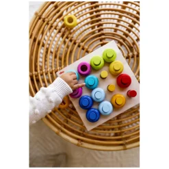 Haba Houten Insteekspel Kleurenringen, 33dlg.