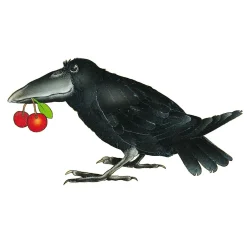 Haba Mijn Eerste Spellen - Eerste Boomgaard