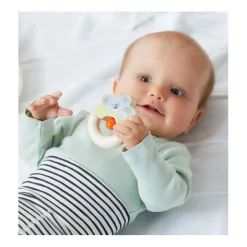 Haba Rammelaar Koala