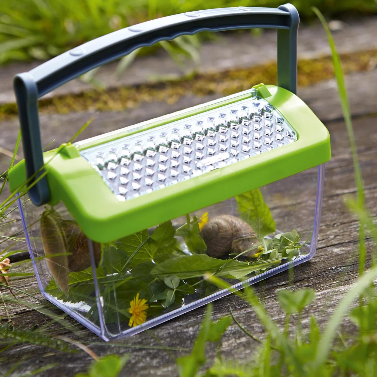 Haba Terra Kids - Insectendoos