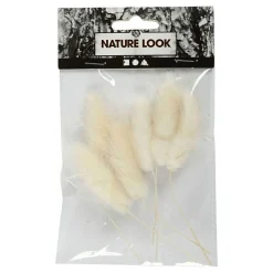 Hazenstaart Gras,  6st.