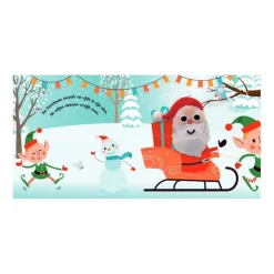 Het Geheim van de Kerstman Kartonboek