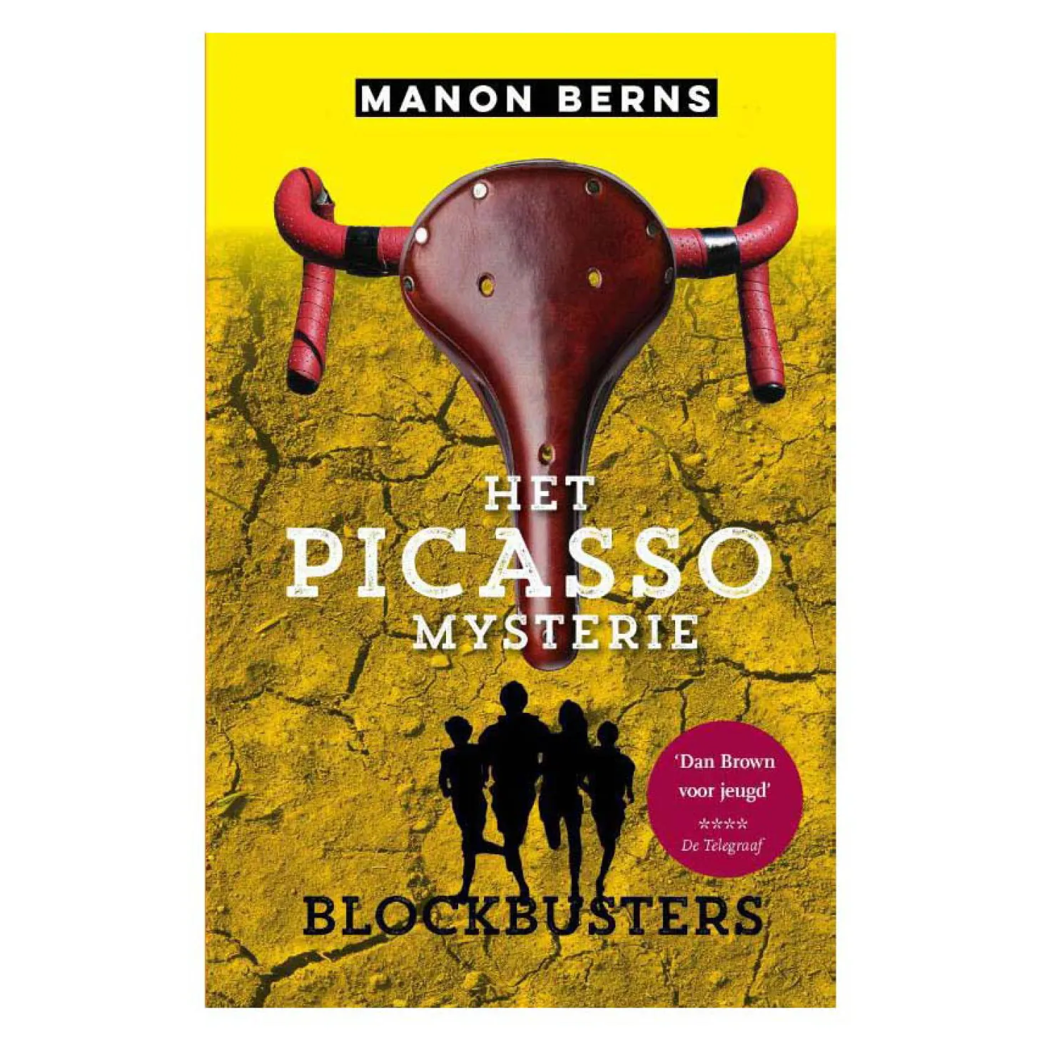 Het Picasso Mysterie