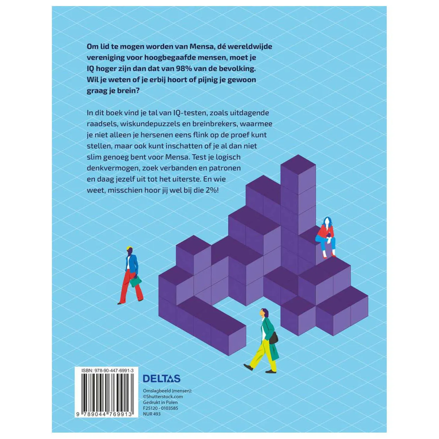 Het Ultieme IQ-testen Boek