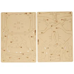 Houten Bouwpakket Dino 3D Pterosauriër