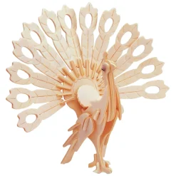 Houten Bouwpakket Pauw