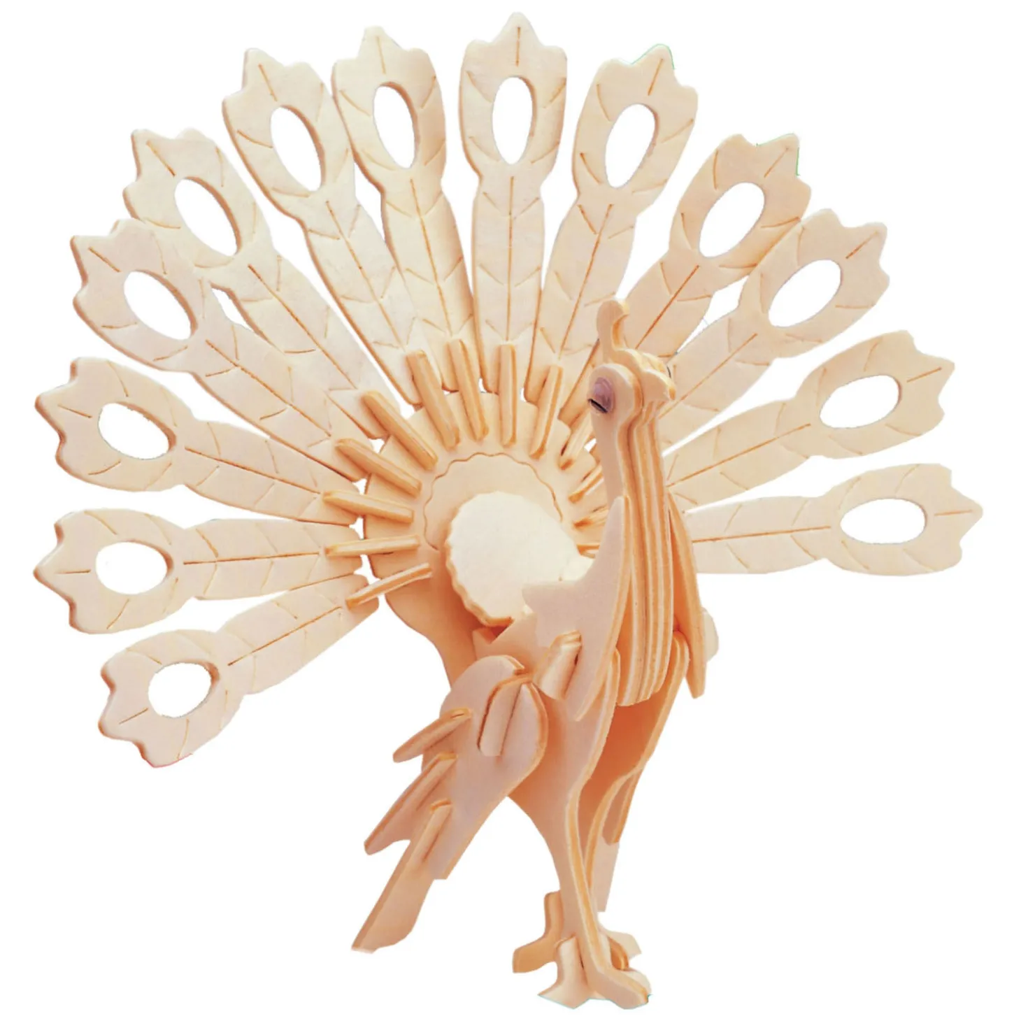 Houten Bouwpakket Pauw