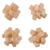 Houten Breinpuzzel