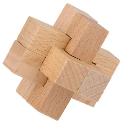 Houten Breinpuzzel