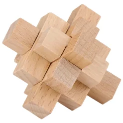 Houten Breinpuzzel