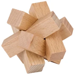 Houten Breinpuzzel