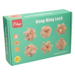 Houten Breinpuzzel Set, 6st.