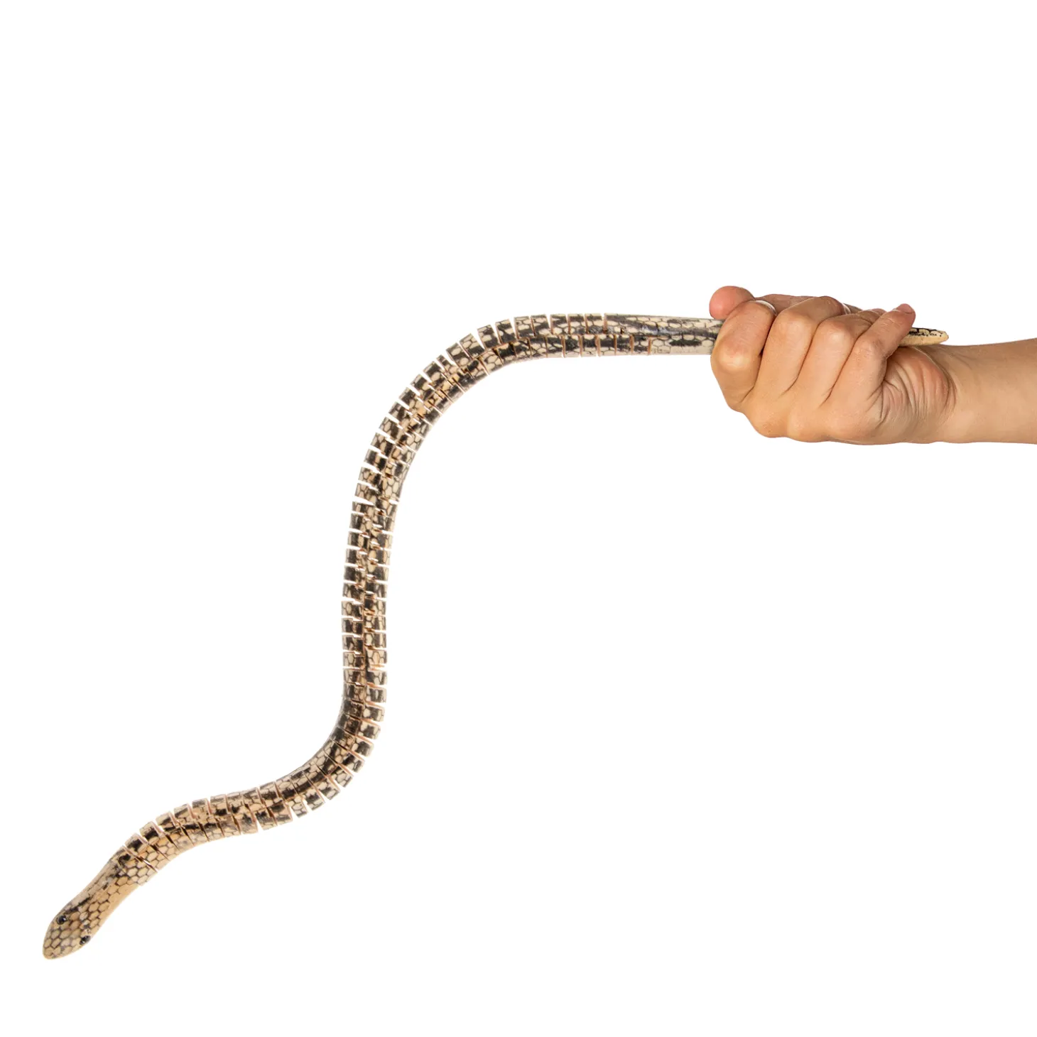 Houten Kronkel Slang