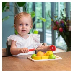 Houten Snijset Fruit