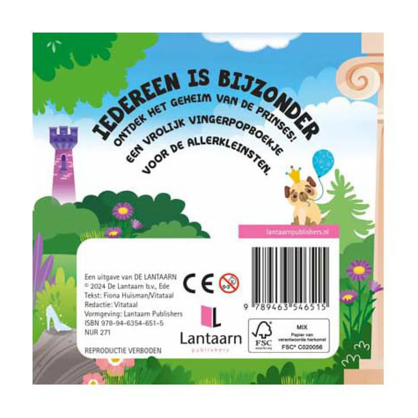 Iedereen is Bijzonder - Prinsessen Kartonboek
