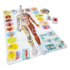 Ik Leer - Het Menselijk Lichaam