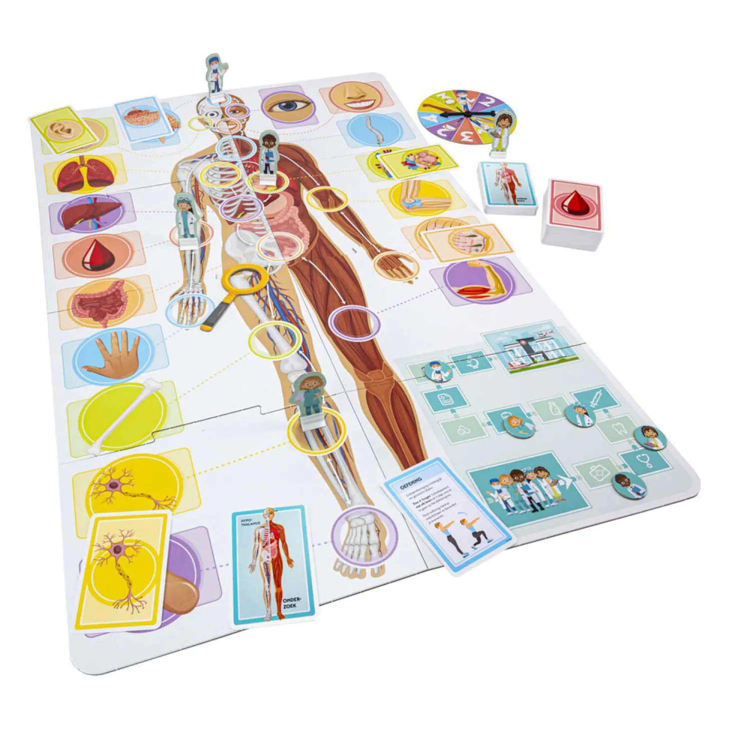 Ik Leer - Het Menselijk Lichaam