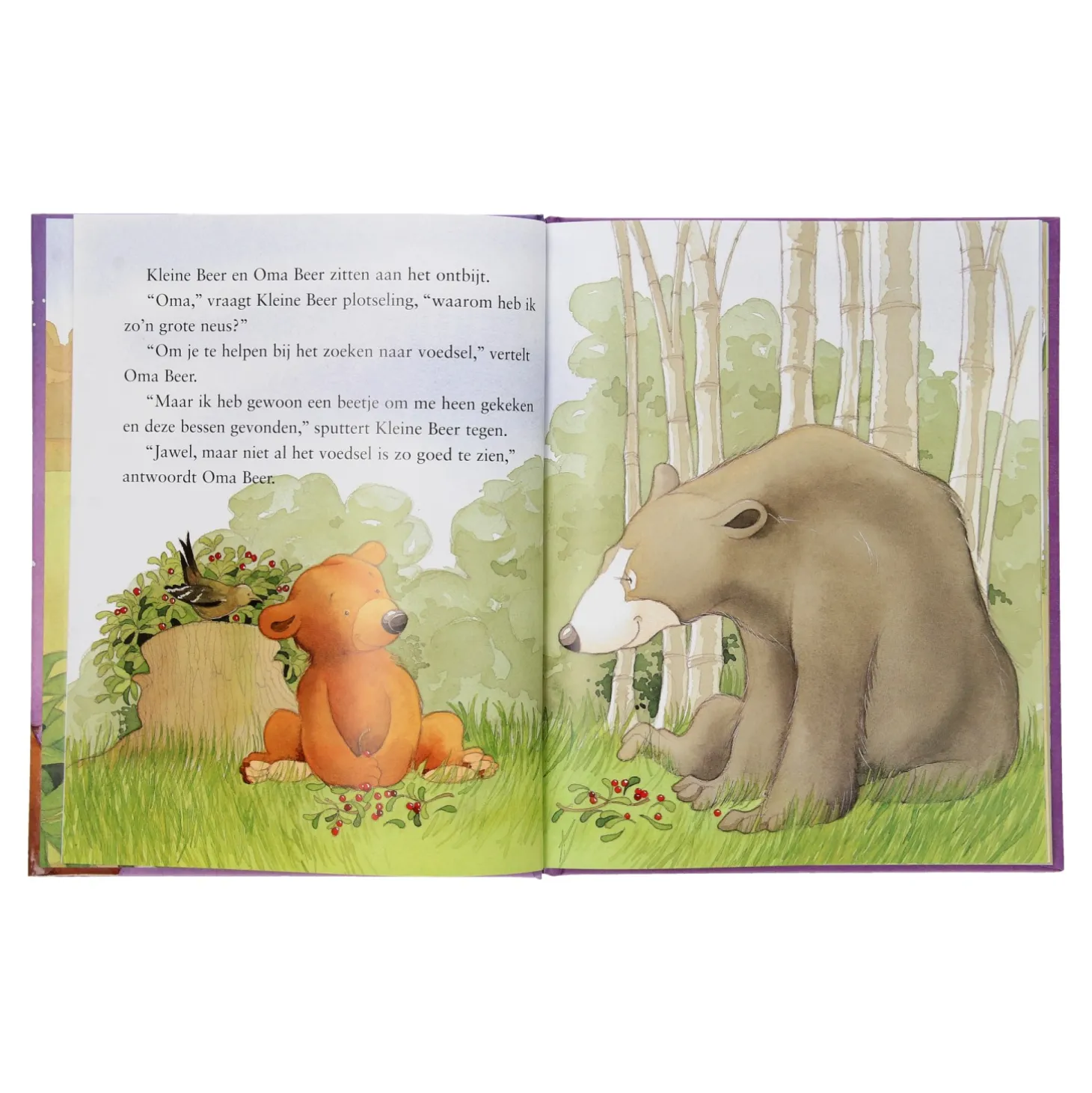 Ik vind je lief, oma