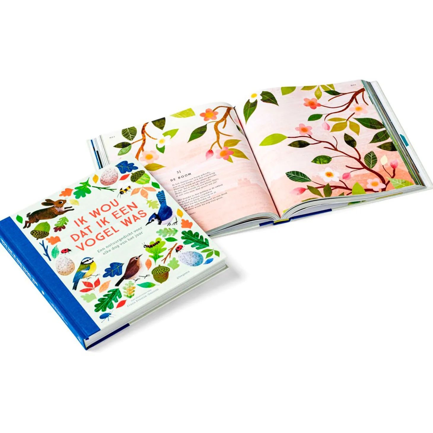 Ik wou dat ik een vogel was