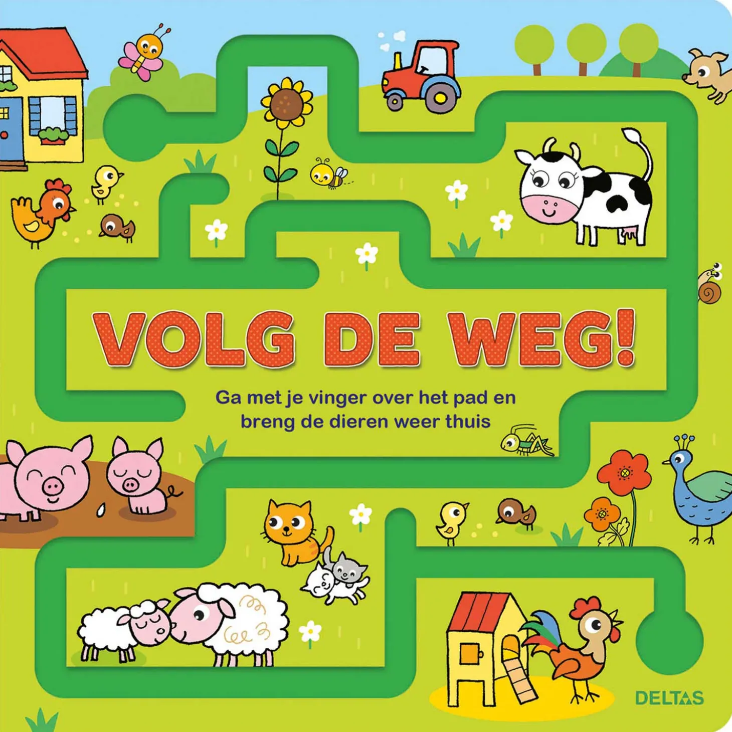 Kartonboek Volg de weg!