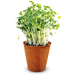 Kidscovery Experiment - Kruidentuin Set S