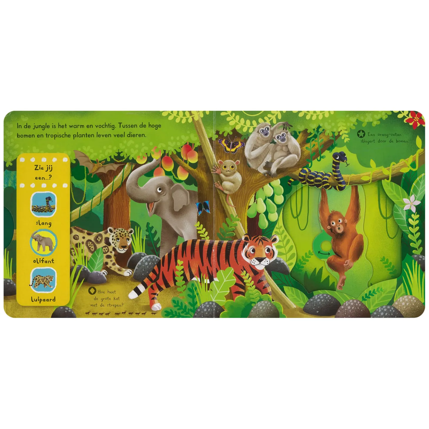 Kijk en Ontdek! - In De Jungle Flapjesboek