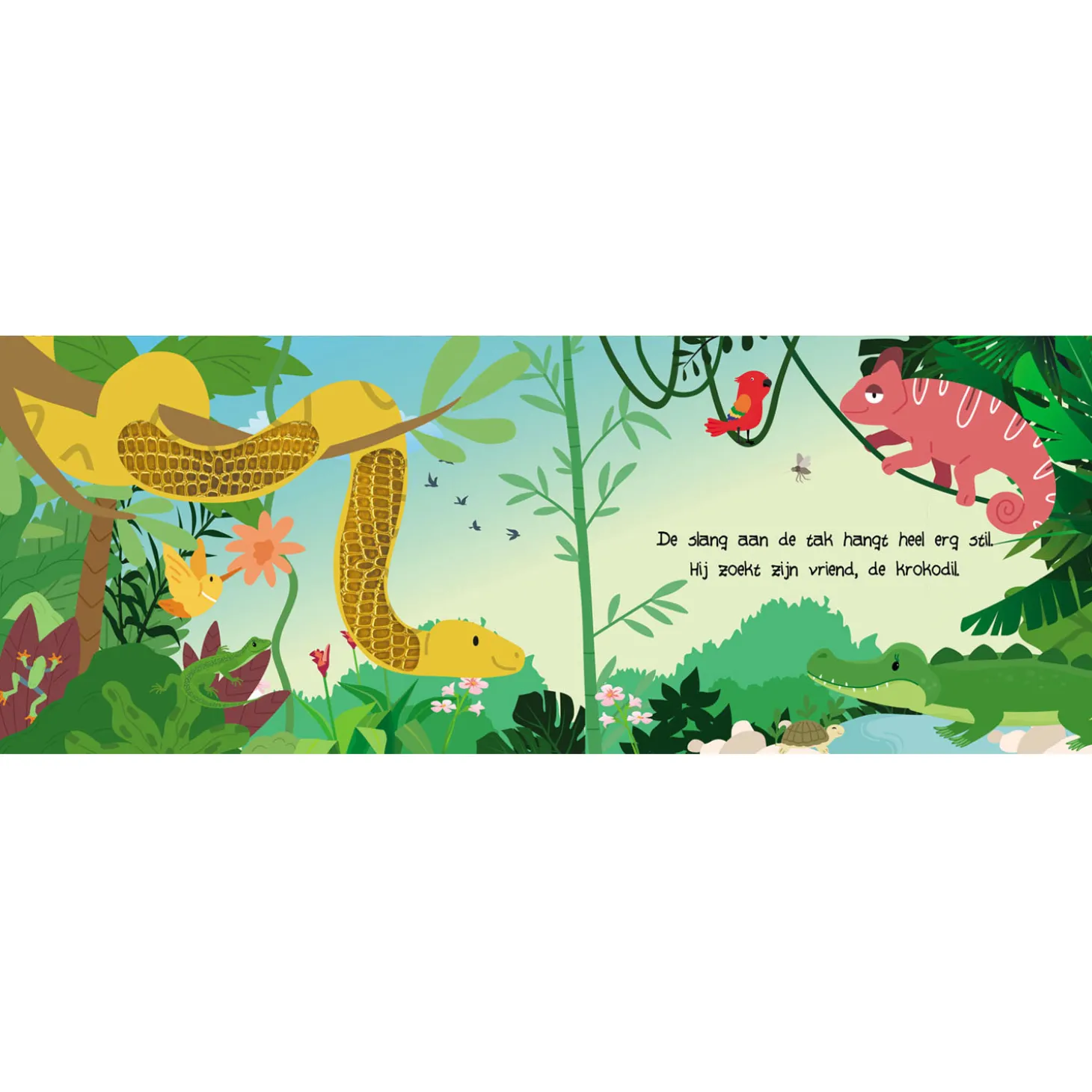 Kijk en voel - Jungledieren