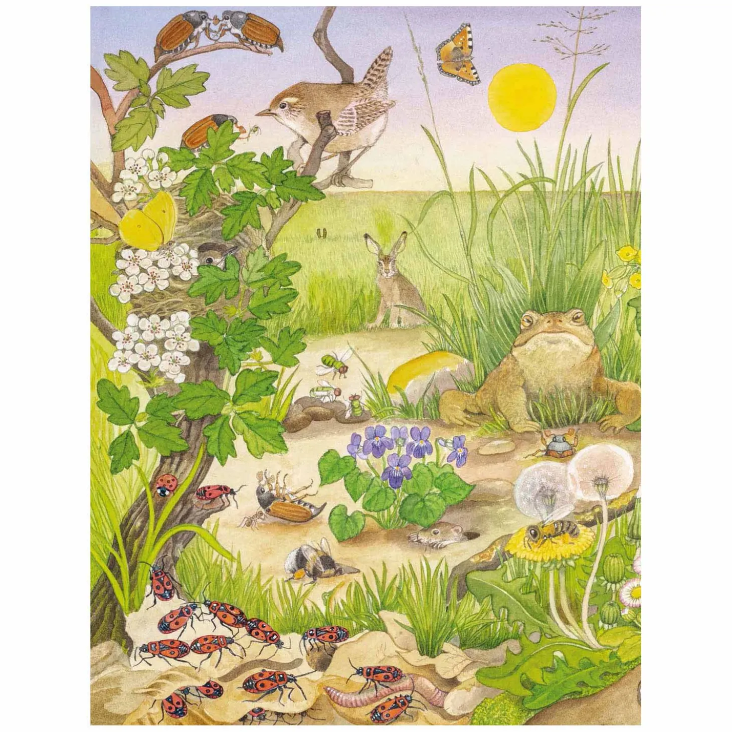 Kijk- en Zoekboek - Kriebeldiertjes