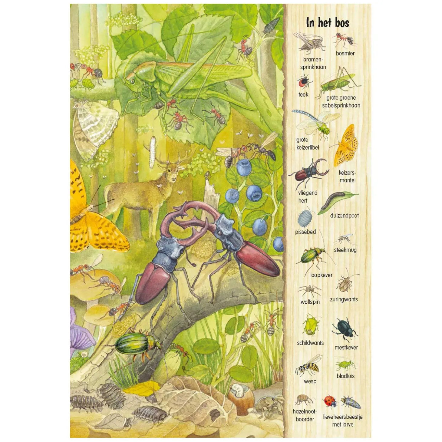 Kijk- en Zoekboek - Kriebeldiertjes