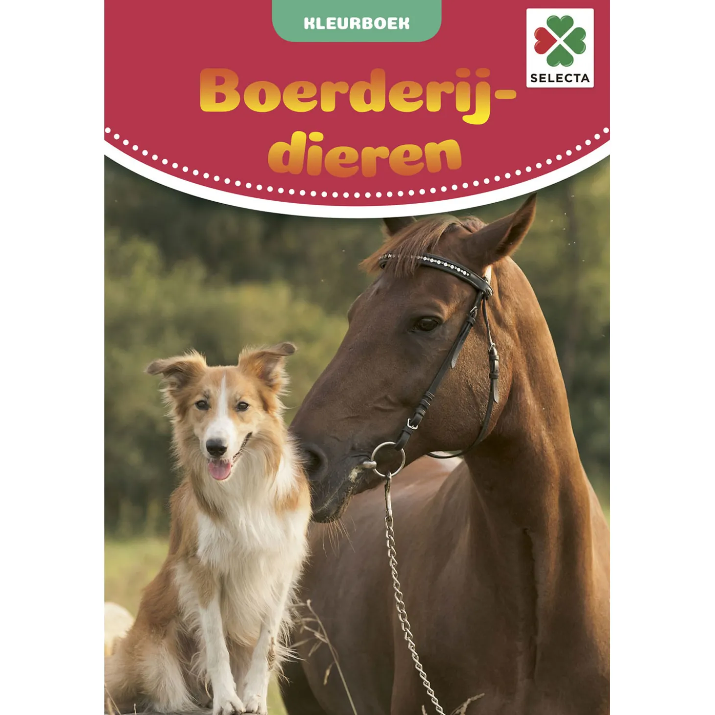 Kleurboek Boerderijdieren
