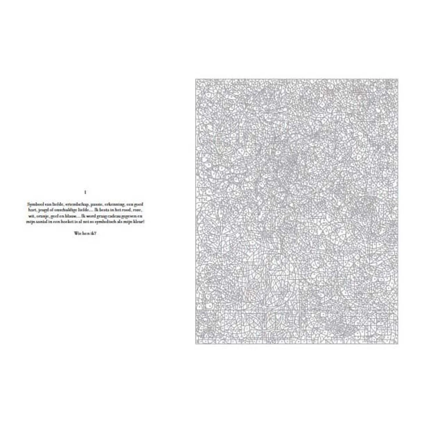 Kleurgeheimen - Bloemen