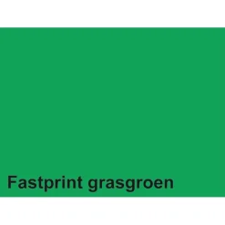 Kopieerpapier Fastprint A4 160gr grasgroen 50vel