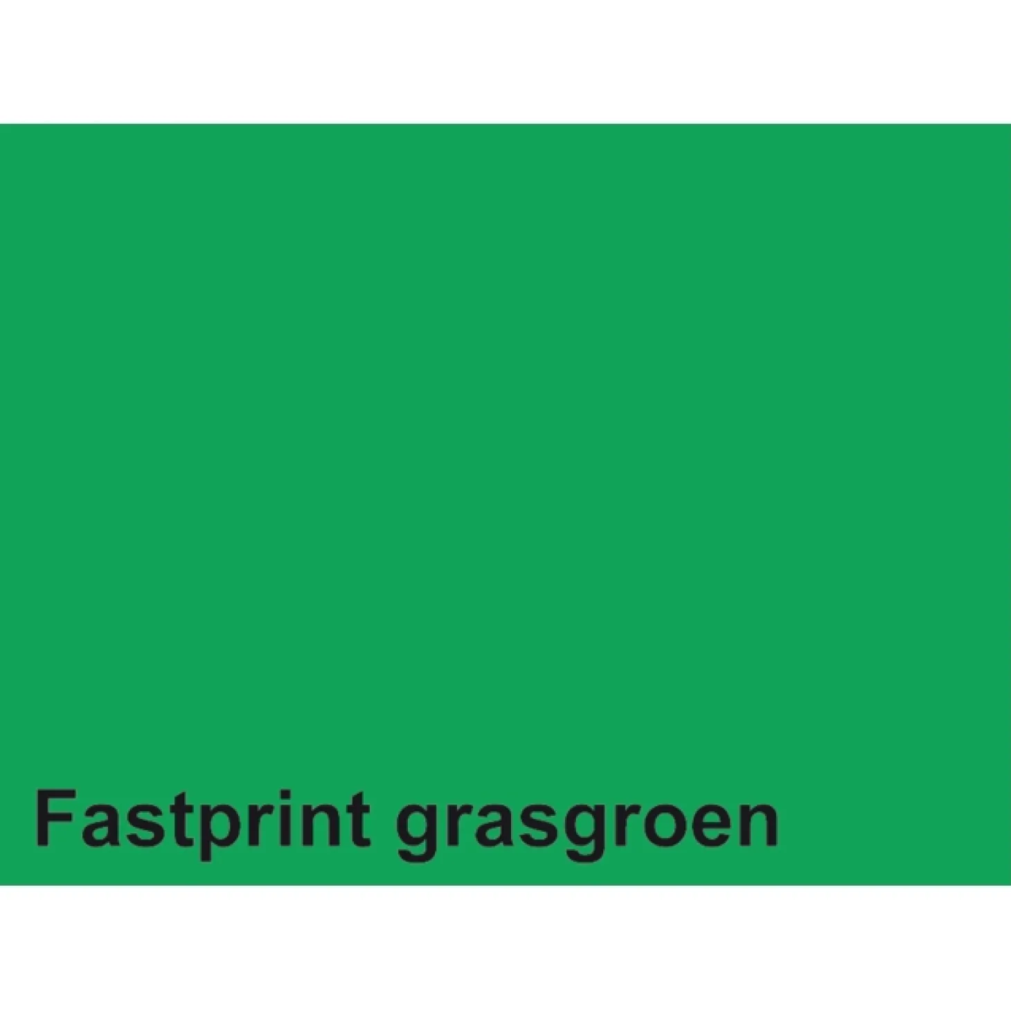 Kopieerpapier Fastprint A4 160gr grasgroen 50vel