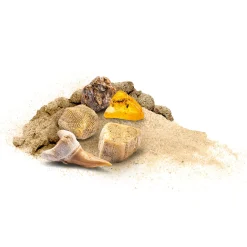 Kosmos Fossielen Uithakken