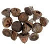 Larikskegels, 25 gram