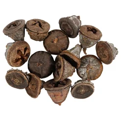 Larikskegels, 25 gram