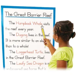 Leesstrip Aanwijzer - 12st.