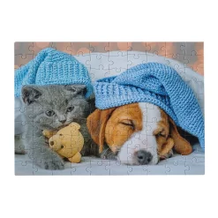 Legpuzzel Cute Kitten and Sleepy Dog, 100st.