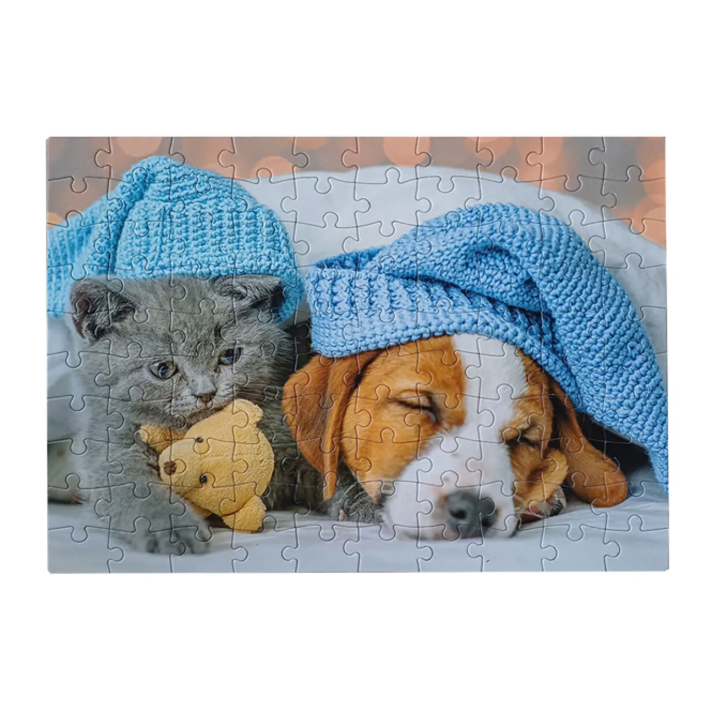 Legpuzzel Cute Kitten and Sleepy Dog, 100st.
