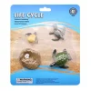 Levenscyclus Schildpad Speelfiguren Set