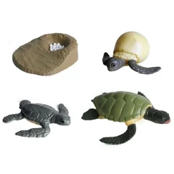 Levenscyclus Schildpad Speelfiguren Set