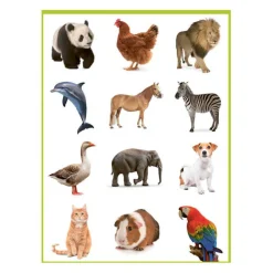 Lieve Dieren Kleur- en Stickerboek - 3-5 Jaar