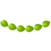 Limegroene Knoopballonnen, 8st.