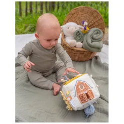 Little Dutch Activiteitenkubus Little Farm