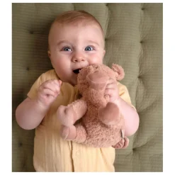 Little Dutch Knuffel Varken Little Farm, 17cm